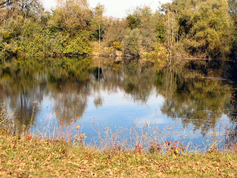 Lake in unspoiled nature