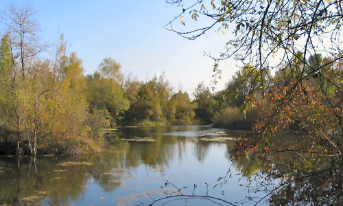 Wild lakes for carp fishing holidays