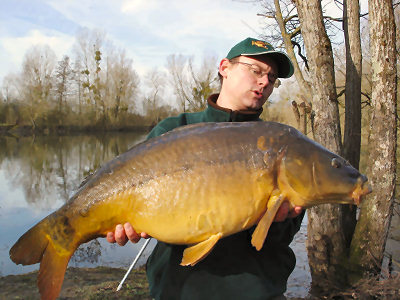 Magnificent and powerful carps