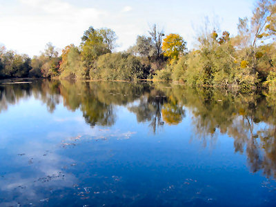 Carp fishery in the wilderness